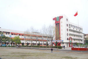 大新路小学